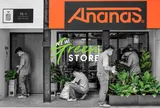 Hành trình “phá đảo’’ thế giới sneaker của Ananas - Thương hiệu giày Việt “sinh sau đẻ muộn’'