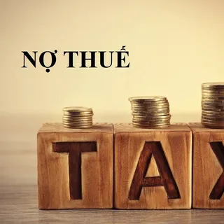 Đầu tư Xây dựng công nghiệp Nam Kim: Vốn điều lệ gần 1.000 tỷ đồng nhưng nợ thuế 119 tỷ