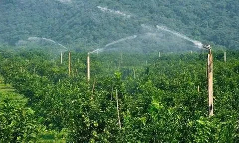 Thu hút đầu tư phát triển nông nghiệp công nghệ cao