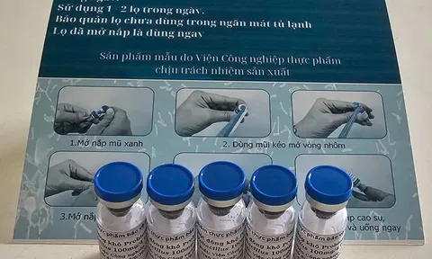 Chế phẩm probiotic an toàn dùng cho người